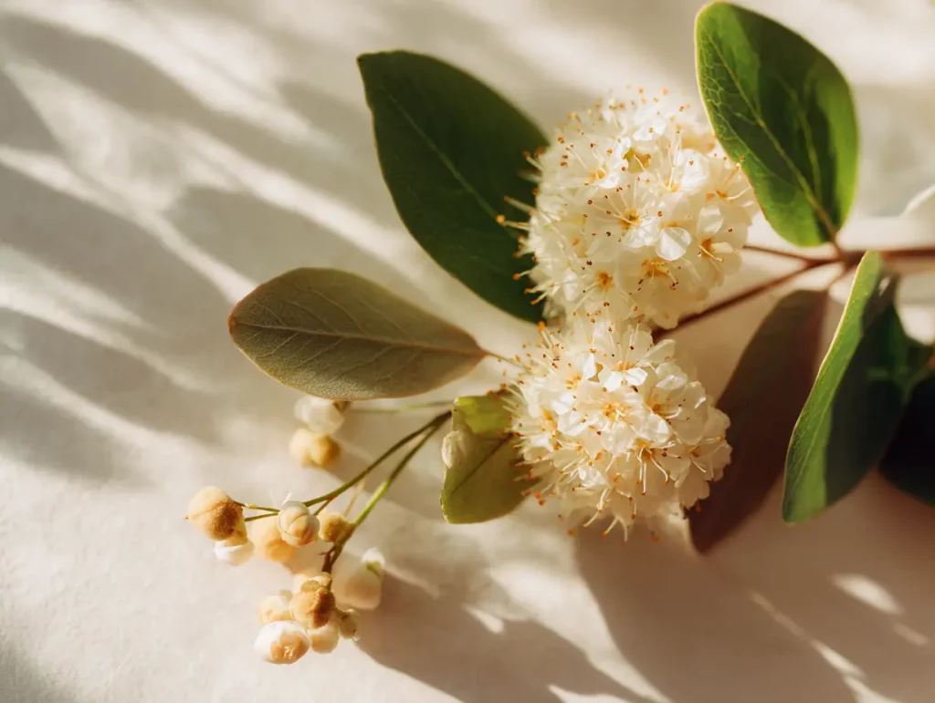 ricostruttore capelli